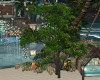 Island Paradise Tree