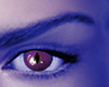 Purple Cat Eye