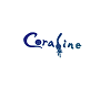 Coraline Fan Art Window