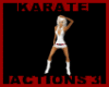 6 Karate Actions #3