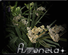 [ A ] Animated Orchids