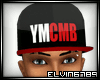E|YMCMB fitted 1