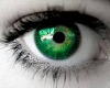 bright green eyes F