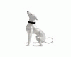 statues dog white