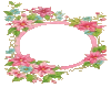 frame-pinkblue