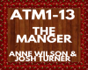 wilson turner ATM1-13