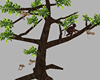 Monkey Tree Animated