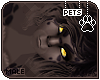 [Pets] Apollo | hair v2