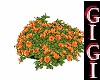 GM add orange flower