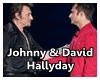 Johnny & David Hallyday
