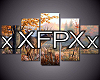 xFPx WildLife Picture