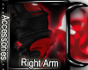 [I] Coral Augment Right