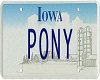 Pony License