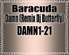 Baracuda Damn remix