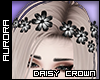 A| Daisy Crown - Midnite
