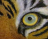 LFP*Eye of the Tiger