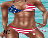JC~US Flag Bikini