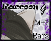 G- Racoon, Ears