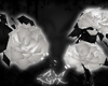-LEXI- Roses | White