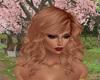 Z Laura Ginger