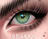 U. Look Eyes IV