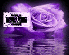 ~RRL~ purple ornge mage