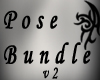 [P] Pose Bundle v2