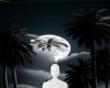 Night moon background