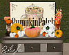 Thanksgiving Pumpkin