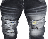 Paco Jeans Grey