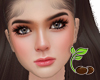 Laras HD