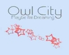 [NJ] Owl City Tee