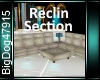[BD]ReclinSection
