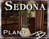 *B* Sedona Plant 1