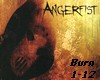 Angerfist - Burn This MF