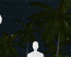 Night Nature Theme