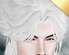 ✶Destroyer Hair