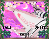 ꨄBlossom Scal Earsꨄ