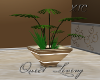 ~XTC~ Quiet Living plant