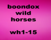 boondox wild horses