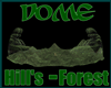 Dome Forest Nature DJ