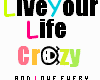 {*Live Life Crazy*}