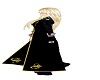 dress coat woman