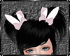 Bunny Ears Cute Bow *