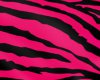 Hot Pink Zebra Canopy