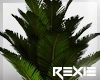 |R|  Plant