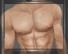 Musculos