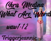 Chris Medina-What Are Wo