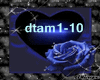dtam1-10