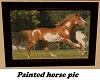 Painted horse Picture